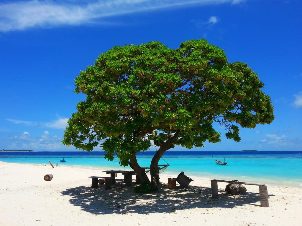 होटल Lvis Blancura Dharavandhoo