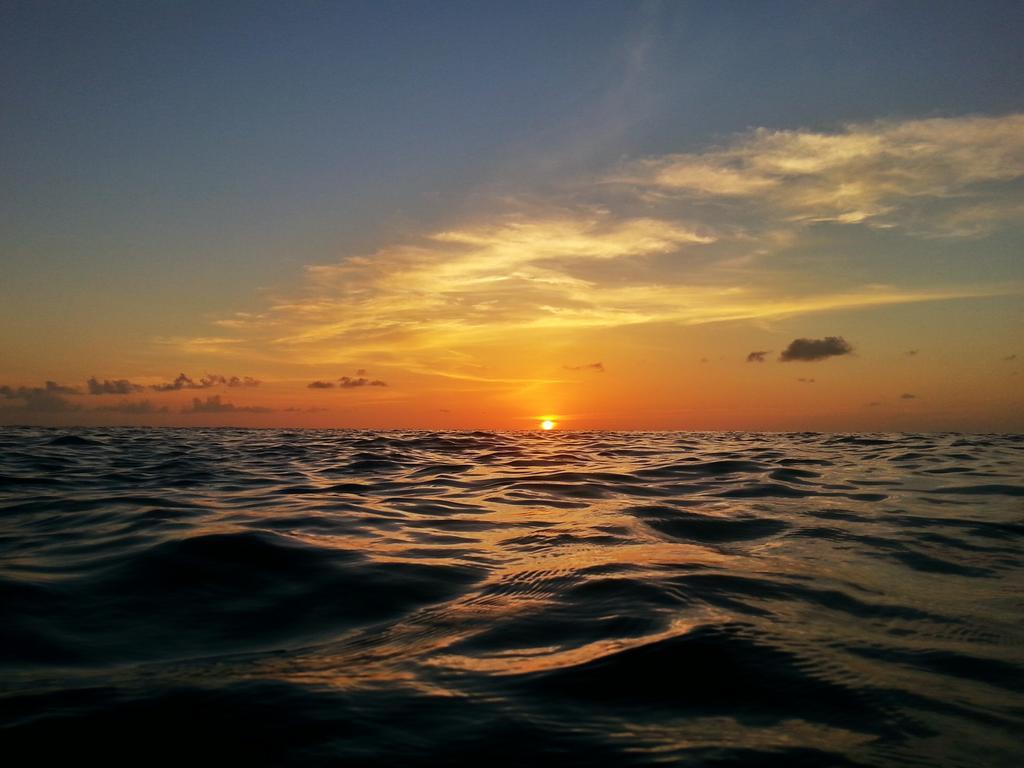 Lvis Blancura होटल Dharavandhoo