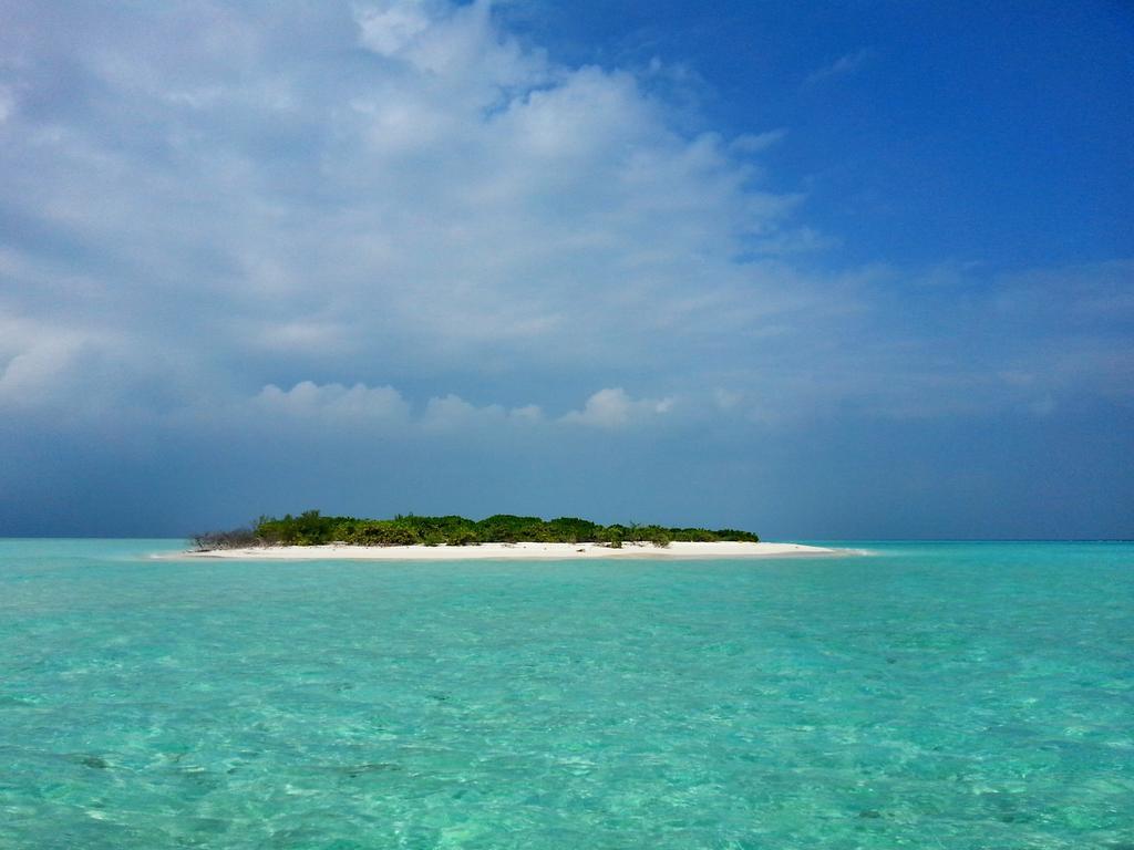 Lvis Blancura Dharavandhoo