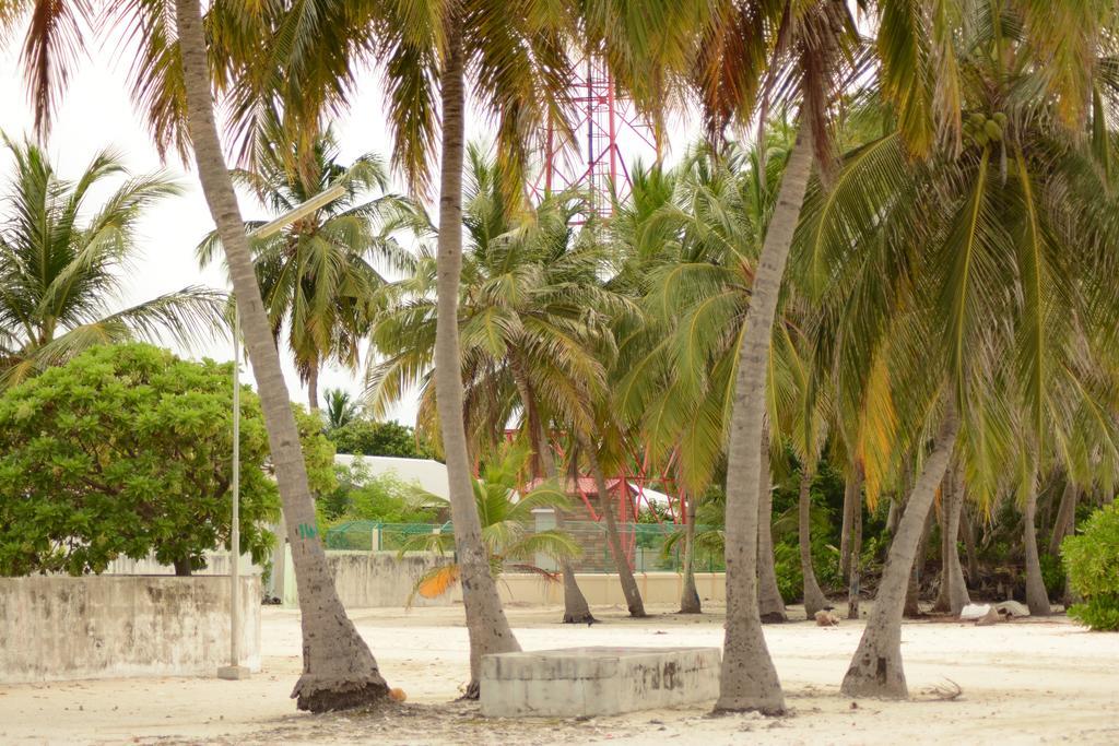 Lvis Blancura Dharavandhoo